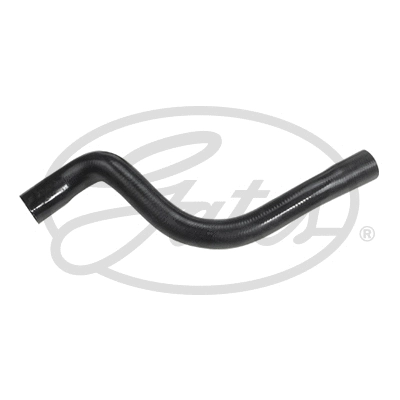 Radiator Hose (3749)