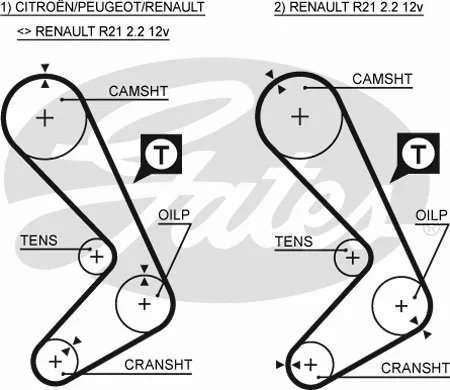 Timing Belt Kit (K025059XS)