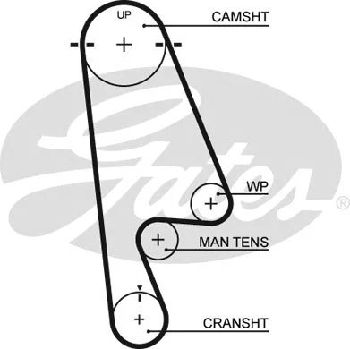 Timing Belt (5480XS)