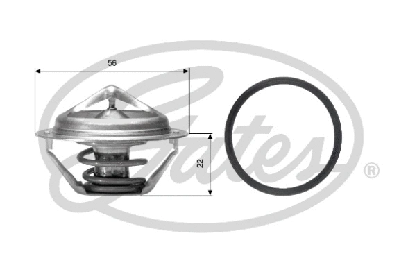 Thermostat, coolant (TH06177G1)