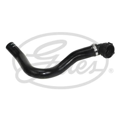 Radiator Hose (05-3658)