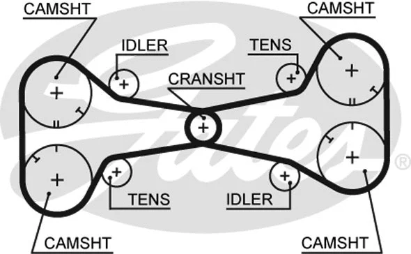 Timing Belt (5312)