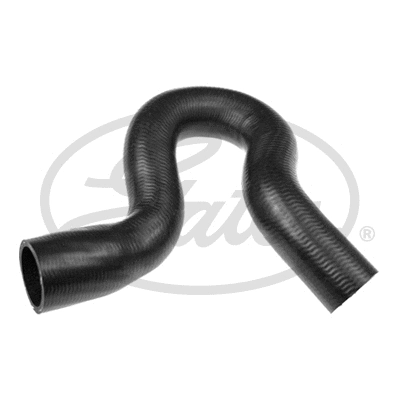 Radiator Hose (3848)