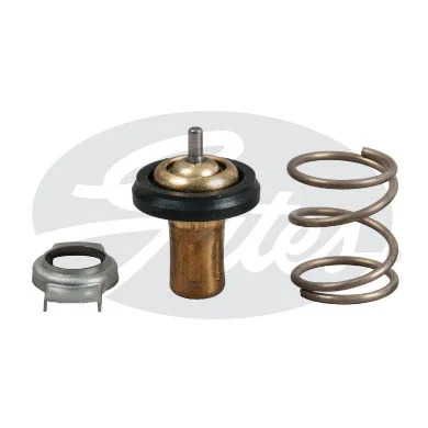 Thermostat, coolant (TH49288G1)