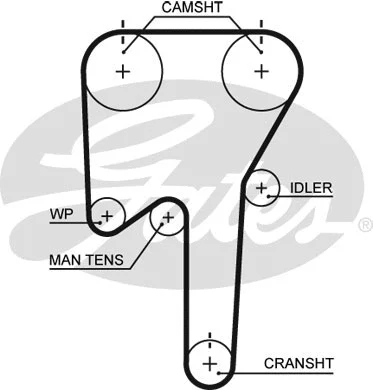 Timing Belt Kit (K025553XS)