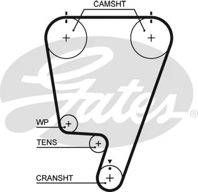Timing Belt (5643XS)