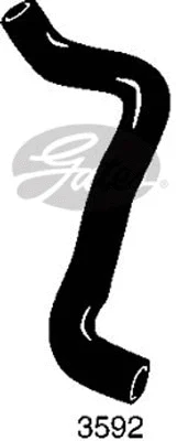 Radiator Hose (3592)