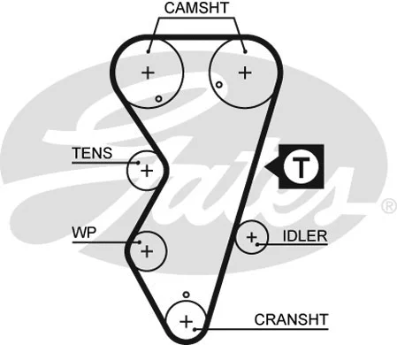 Timing Belt (5412XS)