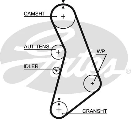 Timing Belt Kit (K025491XS)