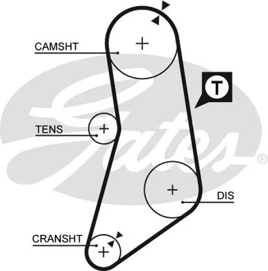 Timing Belt (5041)