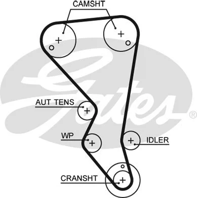 Timing Belt (5599XS)