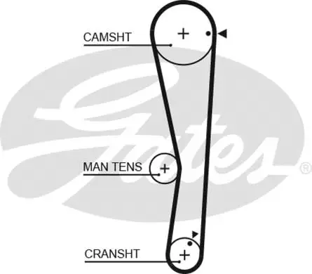 Timing Belt (5687XS)