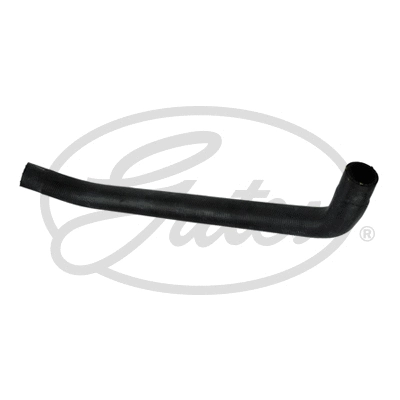 Radiator Hose (3728)