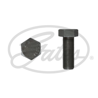 Bolt, crankshaft mounting bracket (Z80767)