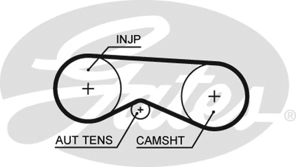 Timing Belt Kit (K015557XS)