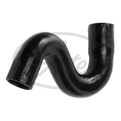 Radiator Hose (3971)