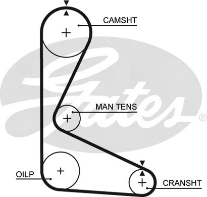 Timing Belt (5103)