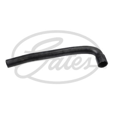 Radiator Hose (3297)