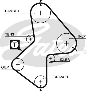 Timing Belt (5212XS)