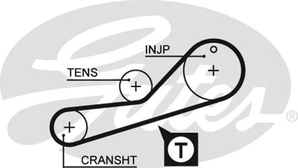 Timing Belt (5452XS)