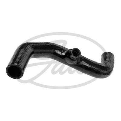 Radiator Hose (3783)
