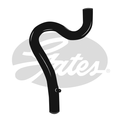 Radiator Hose (3994)