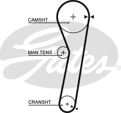 Timing Belt (5365)