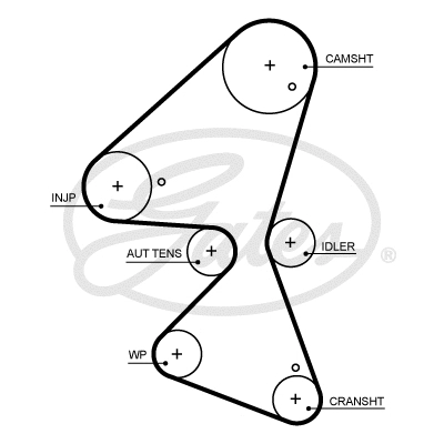 Timing Belt (5705XS)
