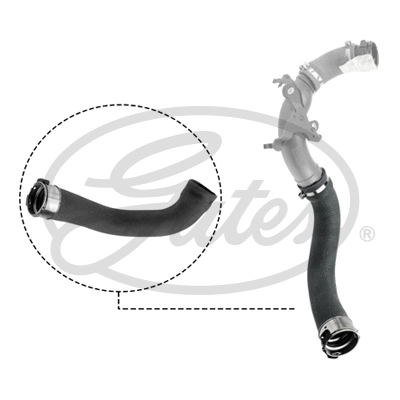 Charge Air Hose (09-0528)