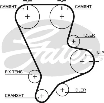Timing Belt (5554XS)