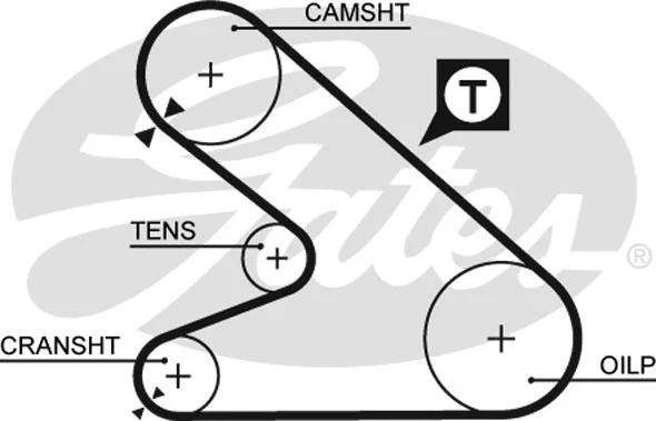 Timing Belt Kit (K015054)