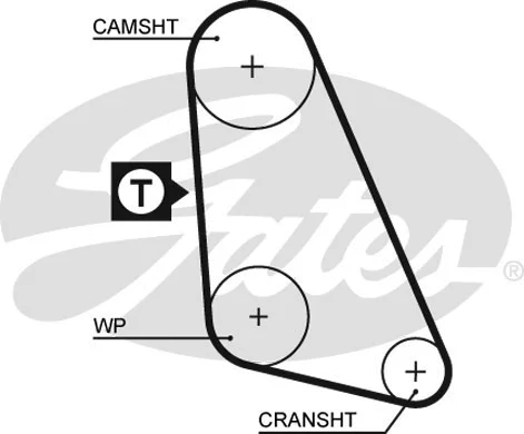 Timing Belt (5135)