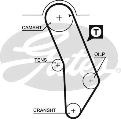 Timing Belt Kit (K015183XS)