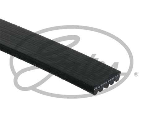 V-Ribbed Belt