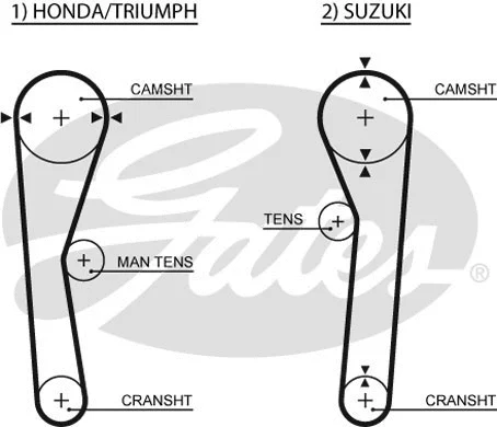 Timing Belt (5019)