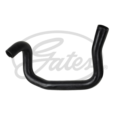Radiator Hose (3975)