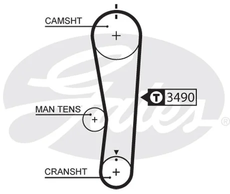 Timing Belt (5637XS)