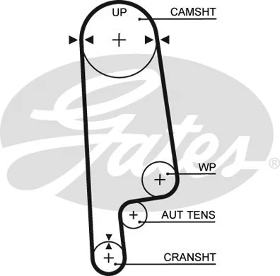Timing Belt (5234XS)