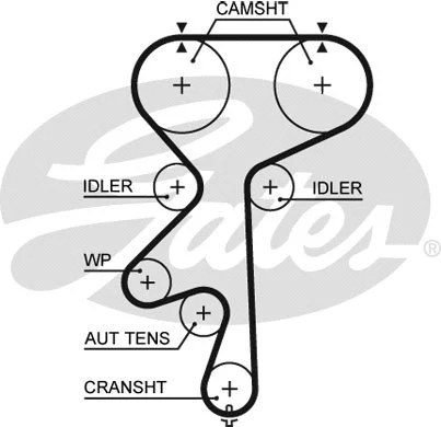 Timing Belt (5542XS)