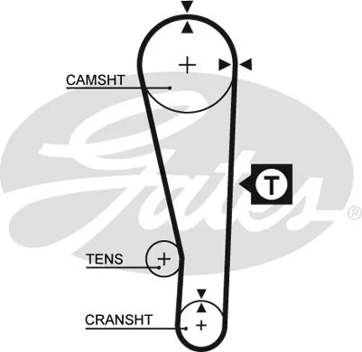 Timing Belt (5213XS)