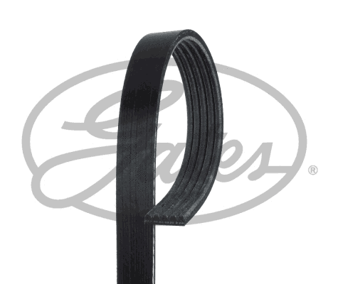 V-Ribbed Belt (5PK1435)