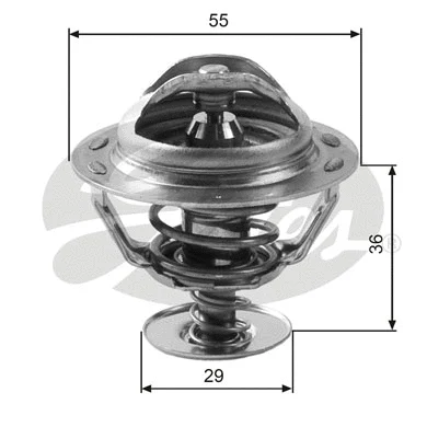 Thermostat, coolant (TH12283G1)