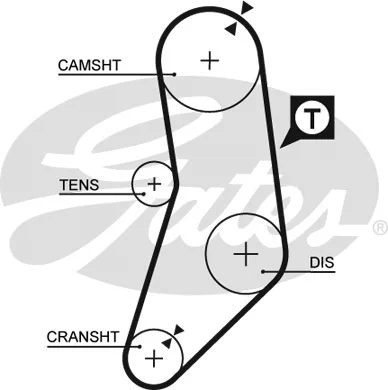Timing Belt (5077)