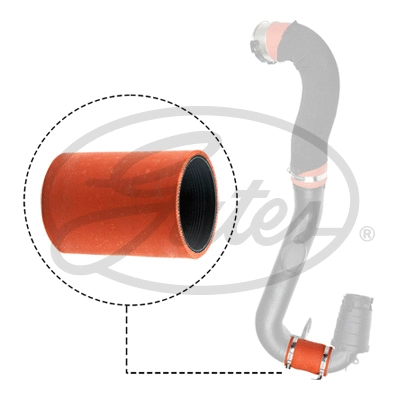 Charge Air Hose (09-1305)