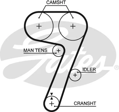 Timing Belt (5336)