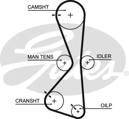 Timing Belt (5609XS)