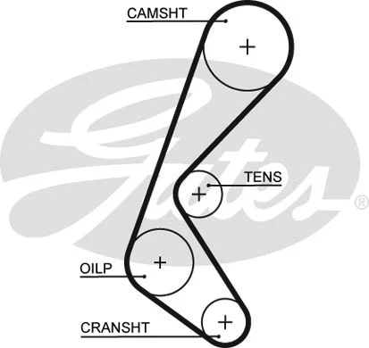 Timing Belt (5628XS)