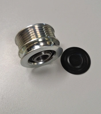 Alternator Freewheel Clutch (TA20519)