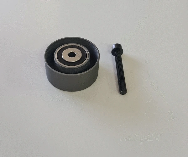 Deflection/Guide Pulley, timing belt (TD21108)