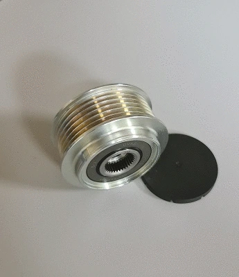 Alternator Freewheel Clutch (TA20529)